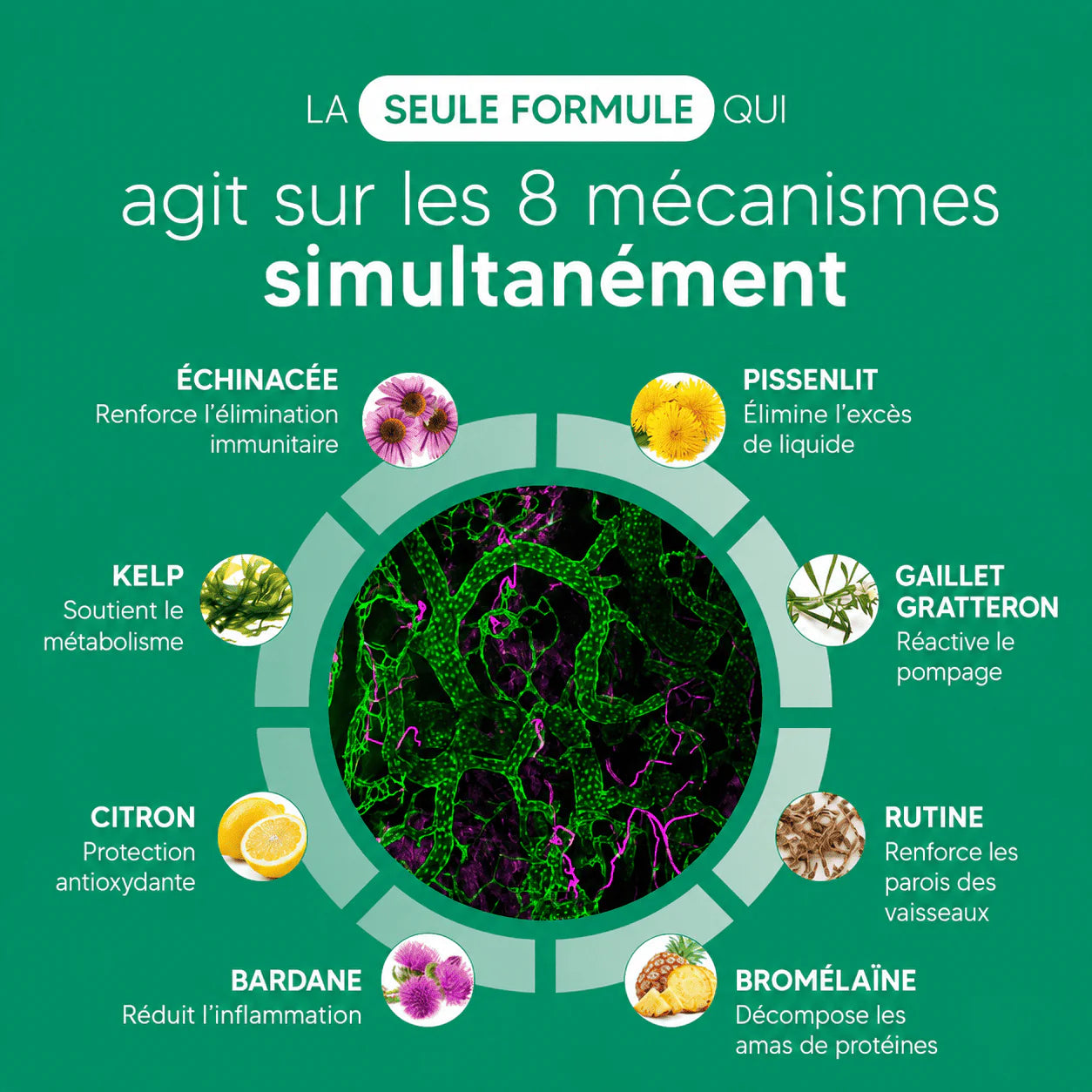 Gélules de Drainage Lymphatique · Transformation totale en 60 jours