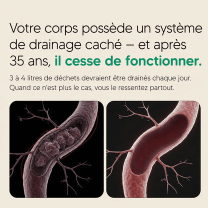 Gélules de Drainage Lymphatique · Transformation totale en 60 jours