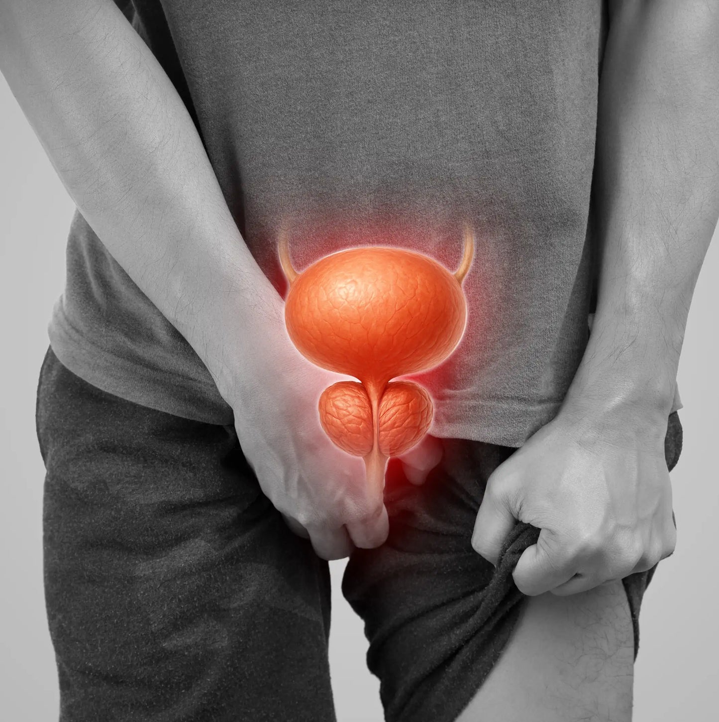 La plupart des médecins ne comprennent pas la prostate